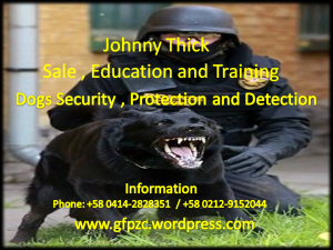 Publicidad perros de seguridad y protección